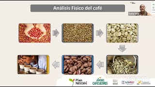 TemaAnálisis físico de café Cereza pergamino húmedo pergamino seco verde [upl. by Lehcin]