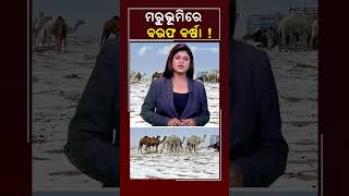 ମରୁଭୂମିରେ ବରଫ ବର୍ଷା  Kalingatv KalingatvNews [upl. by Hoffer]