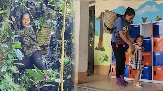 Harvesting wild vegetables First day picking up your child after school  Bảo Ngọc [upl. by Vena]