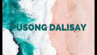 Pusong Dalisay Tagalog Christian Song Cover Serenades and Soothes the Soul  Lyric Video [upl. by Ciaphus]