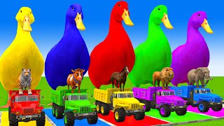 5 Giant Duck CartoonCowMammothTigerLionDinosaurPaint Wild Animals Crossing Fountain Animation [upl. by Jew992]