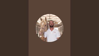 Sport Horse Chiropractic Dr Mike Adney is live [upl. by Sset]