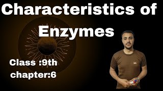 Characteristics Of Enzymes in urdu  Hindi  Class 9th Chapter 6 [upl. by Icyaj]