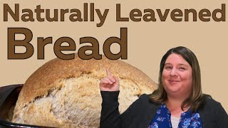 How To Make Naturally Leavened Bread [upl. by Reifinnej]