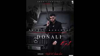 Rakh le bana ke mainu rani dil di Hada hada wasta Pyar da Donali Snehil Pancholi New Song 2024 [upl. by Nosrej902]