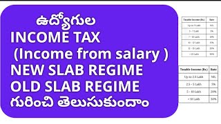 GOVT EMPLOYEES INCOME TAX NEW OLD SLAB REGIME income from salary tax [upl. by Eitac]