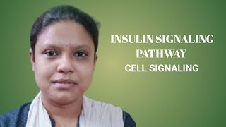 INSULIN SIGNALING PATHWAYCELL SIGNALING [upl. by Swope]