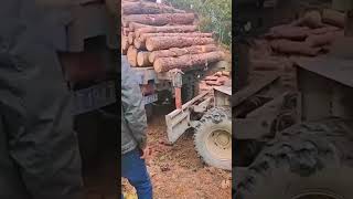 Preparation process before transporting logs [upl. by Ellswerth]