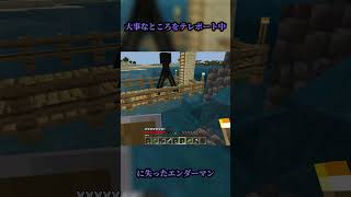 大事なところをテレポート中に失ったと思われるエンダーマン マイクラ minecraft [upl. by Leagiba]