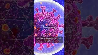 What is Immune System I Part 3 [upl. by Torrey]