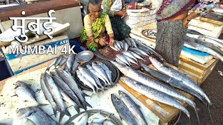 MUMBAI Sassoon Dock Walking Tour  Fish Market Life 4K HDR [upl. by Brenan]