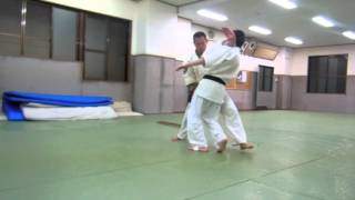 Shodokan Aikido Atemi waza [upl. by Lore]