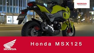 2016 MSX125  125cc Motorcycle  Honda [upl. by Nivrad]