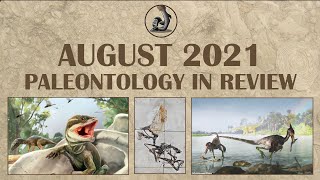 New Fossils and Paleontology August 2021 [upl. by Dunlavy260]