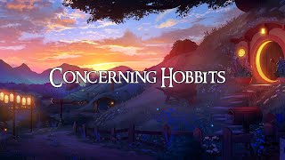 Lord Of The Rings Concerning Hobbits  lofi 1 hour [upl. by Dusen645]