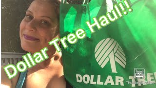 Dollar Tree Haul 🛍️ July 29 2024 [upl. by Ardnuhsed297]