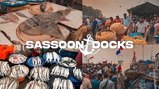 Sassoon Dock Fish Market  Mumbais Oldest Fish Market at Colaba [upl. by Karry326]