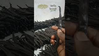 Vanilla Beans the Natural Vanilla flavor vanilla [upl. by Arlo]