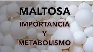 MALTOSA IMPORTANCIA Y METABOLISMO NIVEL MEDIOSUPERIOR [upl. by Tevlev941]