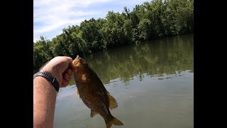 Kayak Fishing  Staunton River  June 2024 [upl. by Kaete]