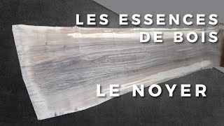 Les Essences de bois  Le Noyer [upl. by Waverley754]