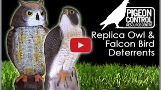 Replica Fake Plastic Owl Decoys  Instructional User Guide [upl. by Hogarth877]