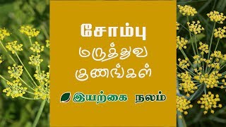 Fennel Seeds in Tamil  Sombu  Sombu in Tamil  சோம்பு  சோம்பு தண்ணீர் [upl. by Nylasor772]