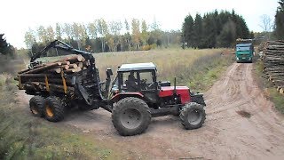 Belarus Mtz 892 forestry tractor with homemade trailer and Mtz 1025 logging in summer forest [upl. by Wilhelmine682]