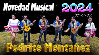 PEDRITO MONTAÑEZ SAIRE NOVEDAD MUSICAL  2024  Cel 974366935  4K [upl. by Stanly]