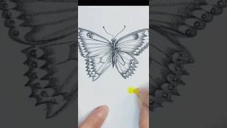 Como desenhar uma borboleta bonita facil art drawing desenho [upl. by Eeltrebor469]