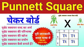 punnett square  punnett square basic introduction  checker board in hindi  punet square genetic [upl. by Aitam23]