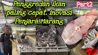 Penjara Marang model terbaik bidang penternakan dan pertanian [upl. by Ebneter]