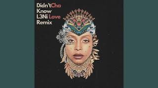 Erykah Badu  Didnt Cha Know  L3Ni Remix [upl. by Benjamin]