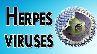 Herpes Symptoms Treatment and Causes [upl. by Cagle]