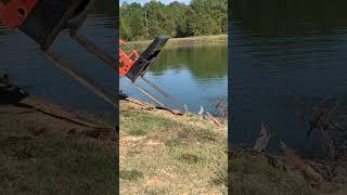 Pushing a pine tree into the pond with Kubota MX6000 kubota nature [upl. by Adlesirk]