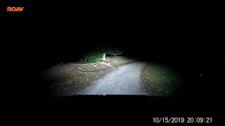 Mountain Lake Campground Summersville  WV  Area 3 Night Drive 🦌 [upl. by Shea]