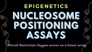 Altered Restriction Enzyme Access on a Linear Array  Epigenetics  GATECSIRNET [upl. by Vick]