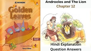 Androcles And The Lion Chapter 12 Class 4 Golden Leaves English Hindi Explanation QuesAns [upl. by Farwell]