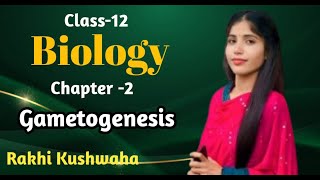 Gametogenesis  Unit Reproduction Ch 2  Part3  by Rakhi Kushwaha [upl. by Ormand]