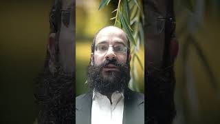 Special branch for last day of Sukkot halacha torahstudy sukkot holiday jewish [upl. by Hezekiah46]