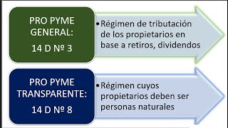 Procesos Tributario 14 11 24 Regimen Propyme [upl. by Aitnahs]