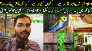 Imported parrots in ISB  Business be done by rearing birds at home   hobby of a citizen  66 News [upl. by Lletnahs]