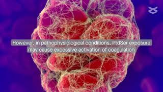 Phosphatidylserine inside out inflammation and coagulation abnormalities in COVID19 [upl. by Aikcir]