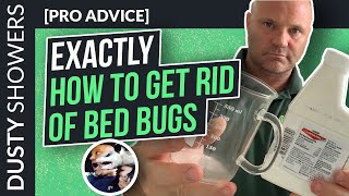 EXACTLY How To To Get Rid Of Bed Bugs Yourself [upl. by Itida768]