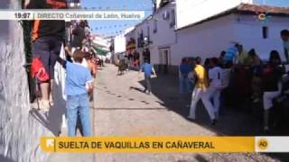 Suelta de vaquillas en Cañaveral de León [upl. by Drhcir]