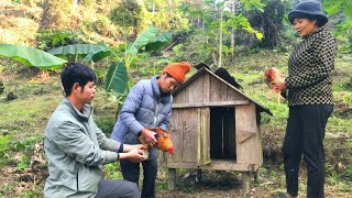 Journey to the mountain to give chickens to a lonely old man  This year laid many eggs [upl. by Frohman]