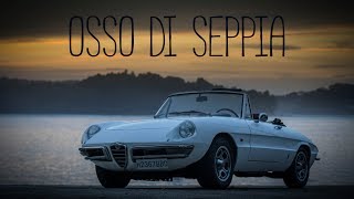 Alfa Romeo spider Duetto  Osso di seppia  Roadmantics Ep 11 [upl. by Etneciv913]