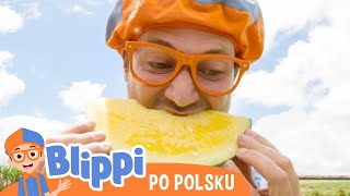 Blippi próbuje owoce i warzywa  Blippi po polsku  Nauka i zabawa dla dzieci [upl. by Eilrahc]