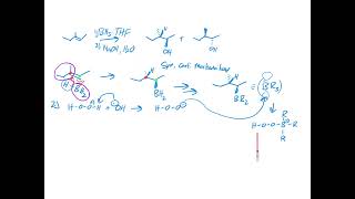 Mechanism of HydroborationOxidation [upl. by Nerual]