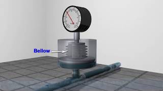 Bellow Pressure Gauge [upl. by Rowena]